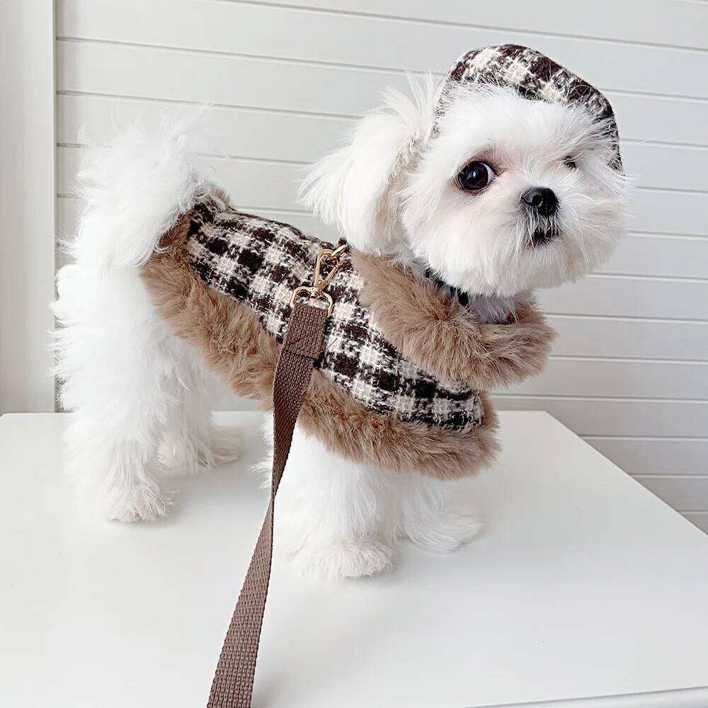 Classic Winter Clothes Harness Outfit Girls Fragrant Cloak Princess Puppy Cats Chest And Back Traction For Small Dog