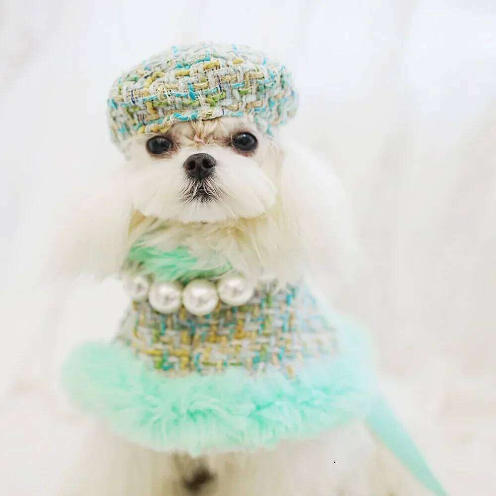 Classic Winter Clothes Harness Outfit Girls Fragrant Cloak Princess Puppy Cats Chest And Back Traction For Small Dog
