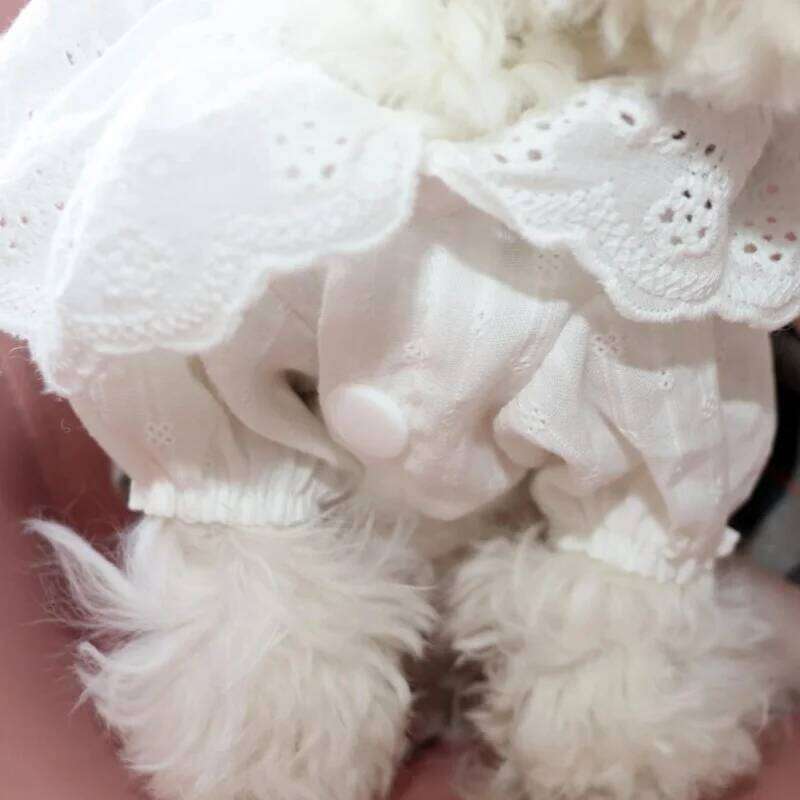 Lattice Summer Dogs and Leash Set Bowknot Teddy Bichon Dog Harness Vest Spring Cat Dress Chihuahua Pet Clothing C260126