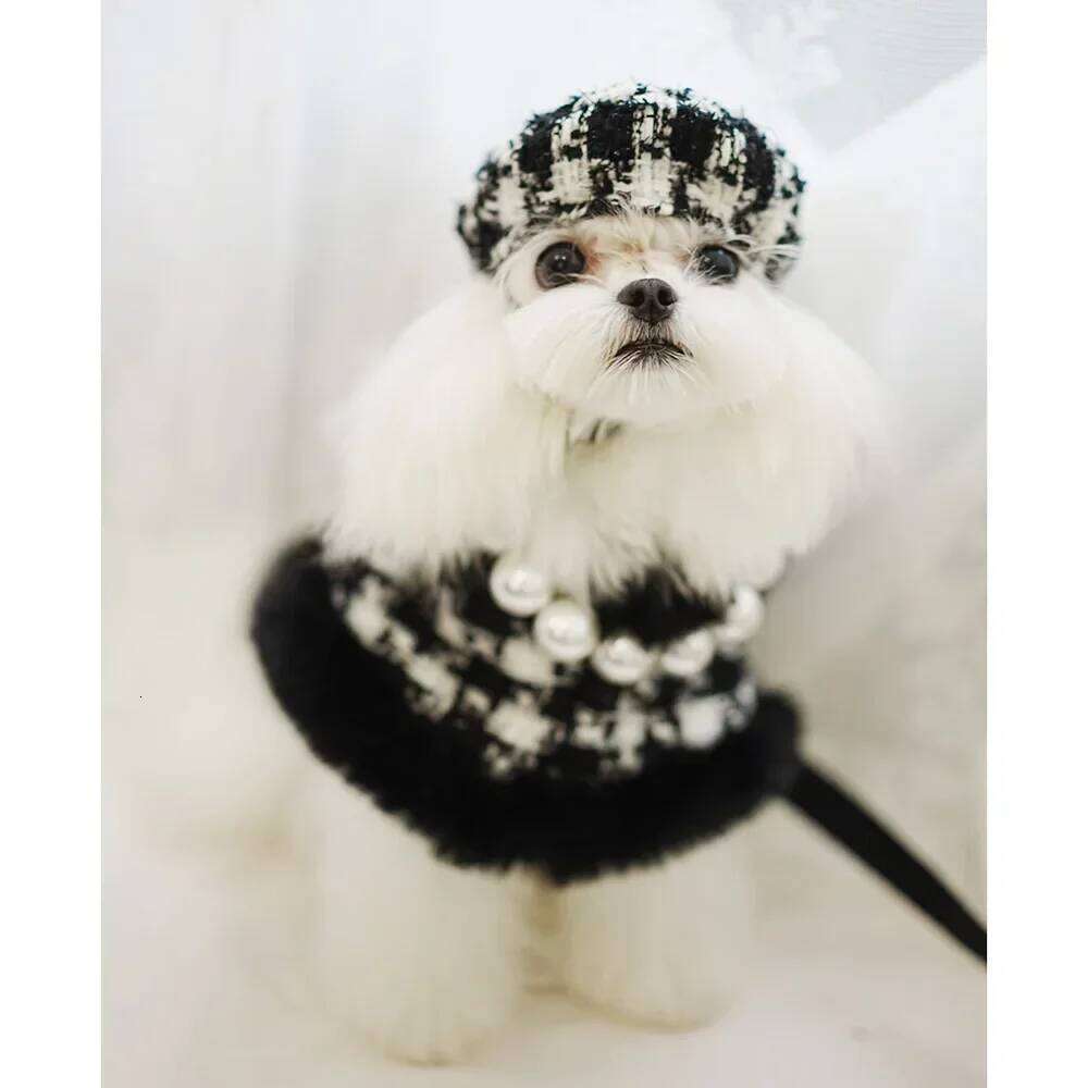 Classic Winter Clothes Harness Outfit Girls Fragrant Cloak Princess Puppy Cats Chest And Back Traction For Small Dog