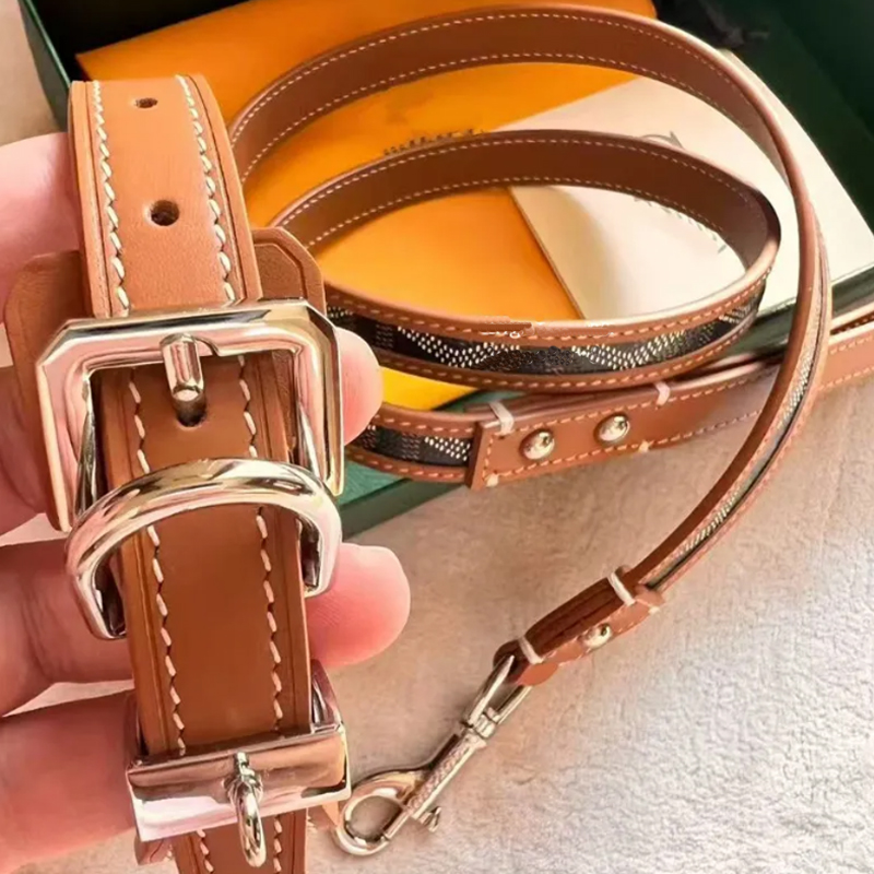 Designer Dog Collar Leash High End Hardware Accessories Adjustable Durable for Small Medium Dogs West Highland Terrier Corgi Pomeranian Luxury Dog Bir