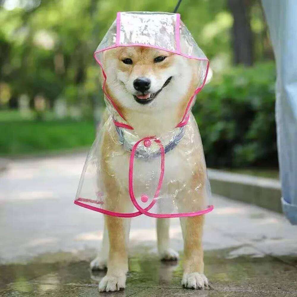 Clear Raincoat Rain Jacket Waterproof Coat for Samll Medium Dogs Teddy Shiba Dog Poncho Outdoor Walking Pet Clothes XJ260127