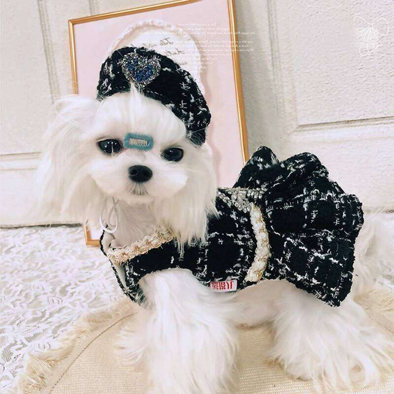 Autumn Winter Luxury Pet Clothing Plush Warm Princess Malzis Yorkshire Puppy Rhinestone Dress Female Dogs Clothes Berets