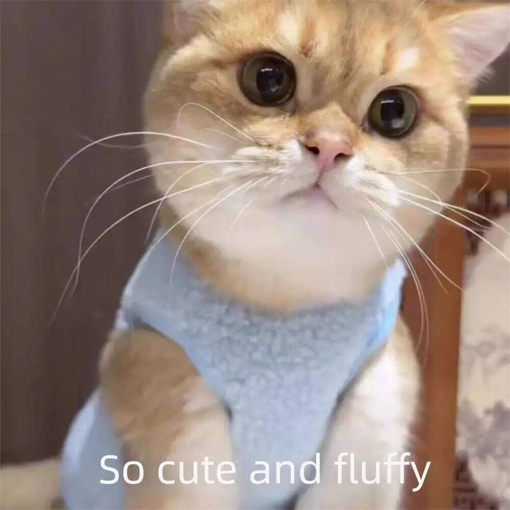 Creative Cat Sweater Cartoon Soft Dog Jacket Warm Fleece Thickened Teddy Bichon Vest Winter XJ260127