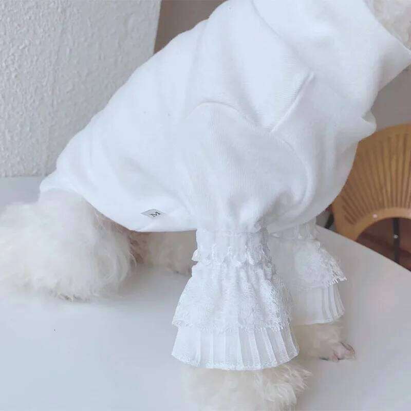 Pure Pet Clothes White Puppy Cat Teddy Spring Autumn New Bottoming Shirt Girl Shirts Dog Cloths XJ260127