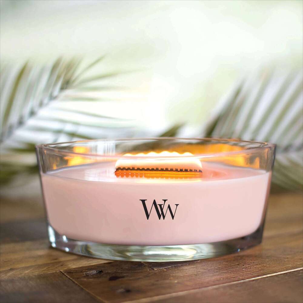 Ellipse Scented Candle, Fireside, 16 oz Y260127