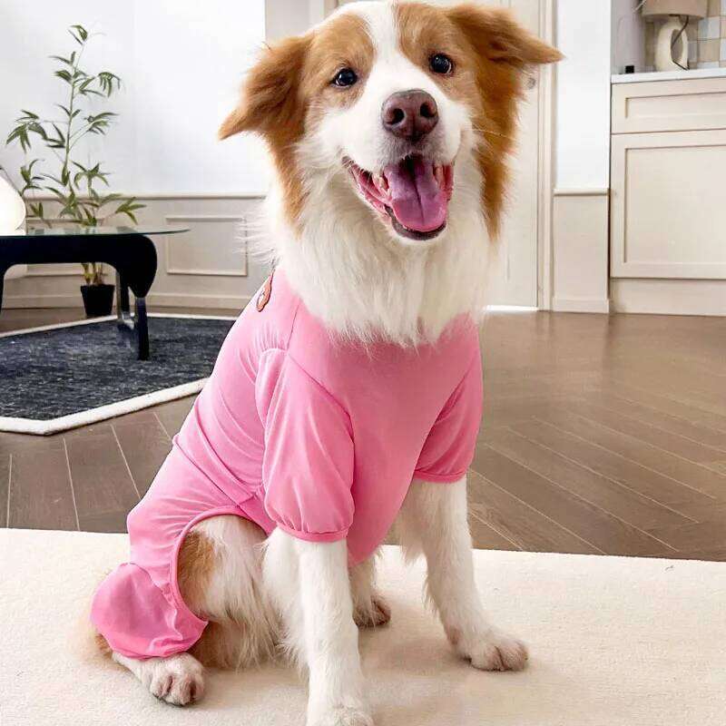 Bear Pajamas Summer Mesh Large Dog Clothes Jumpsuit Pink Blue Purple Yellow Pet Onesie For Small Big Dogs Labrador XS-4XL XJ260127