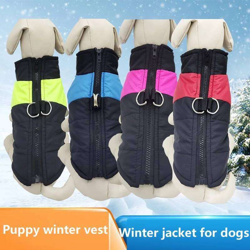 Pet Clothing Coat Dog Jackets Small Luxury Clothes Puppy Vest Winter Jacket for Dogs XJ260127