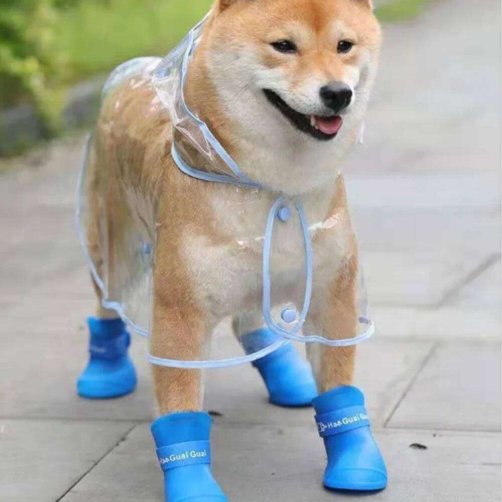 Clear Raincoat Rain Jacket Waterproof Coat for Samll Medium Dogs Teddy Shiba Dog Poncho Outdoor Walking Pet Clothes XJ260127