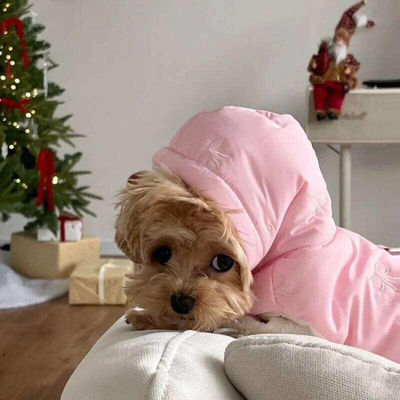 Fashion Bow-Embroidered Dog Teddy Bear Stylish Down Jacket Bichon Frise Winter Warmth Hooded Coat Thickened Pet Accessories XJ260127