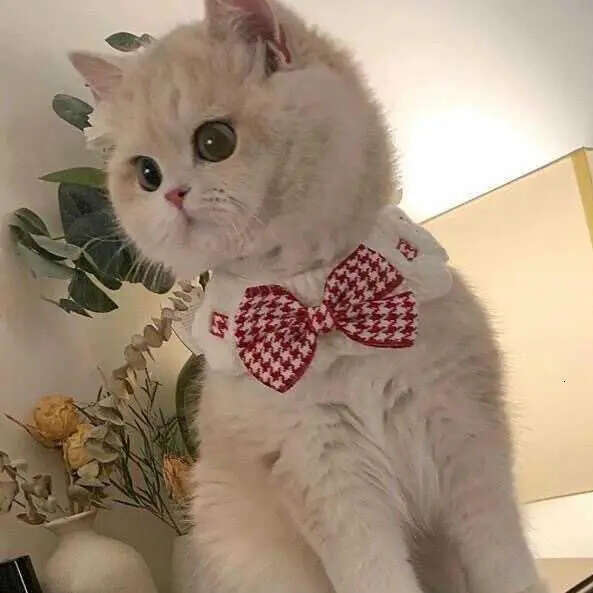 Pearl Dog Collar Jewelled Silk Wedding Cat Puppy Ribbon Scarf Pendant Pet Bows Necklace Satin New Kitten Accessories Bowtie Gift