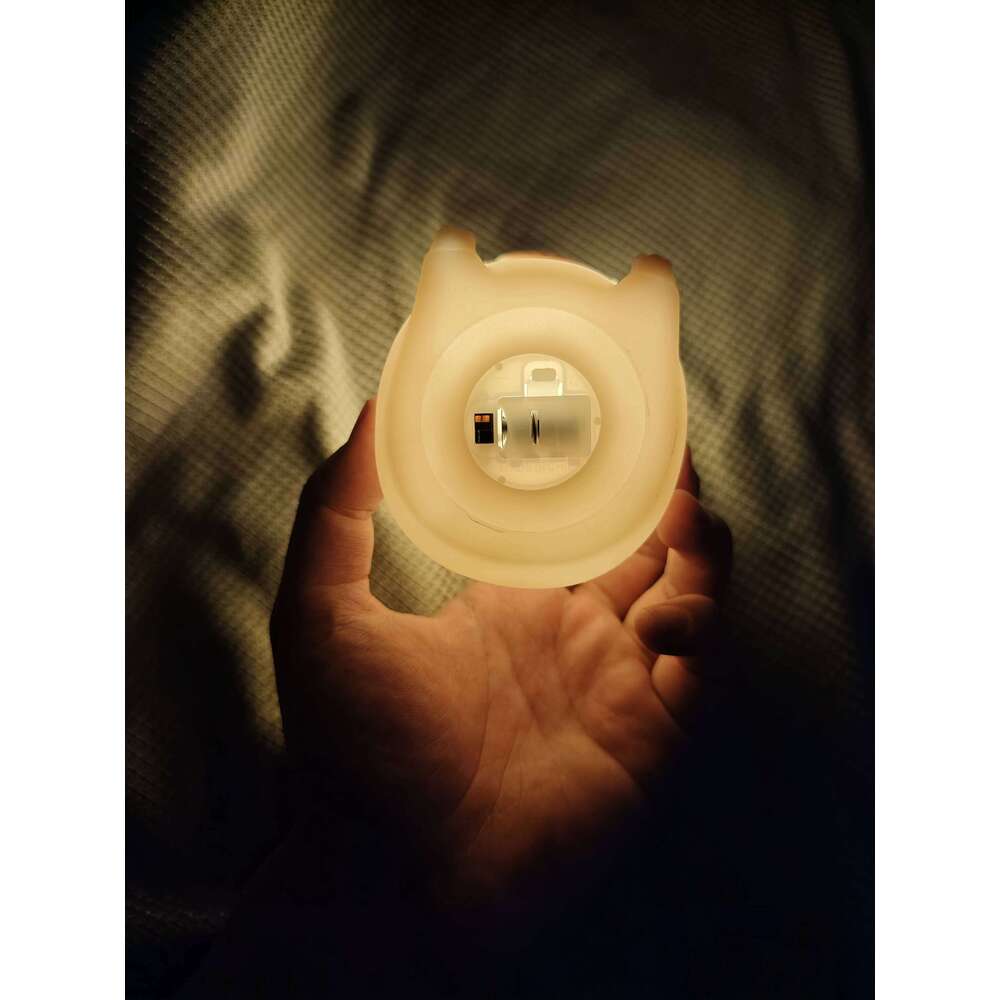 Pet Capybara Light Cute Cartoon Silicone Creative Bedside Sleep Night Lamp For Children's Room Decor Birthday gift Z260127