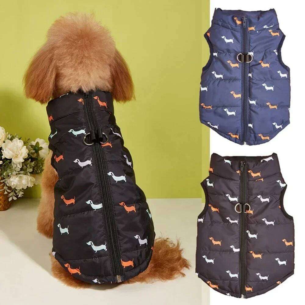 Warm Winter For Small Dogs Windproof Pet Dog Coat Jacket Zipper Puppy Outfit Vest Yorkie Chihuahua Clothes XJ260127