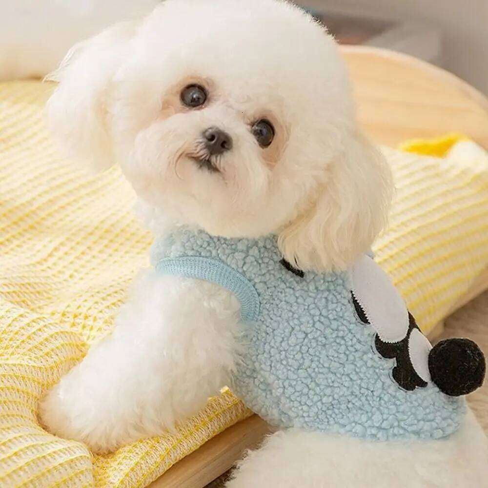 Creative Cat Sweater Cartoon Soft Dog Jacket Warm Fleece Thickened Teddy Bichon Vest Winter XJ260127