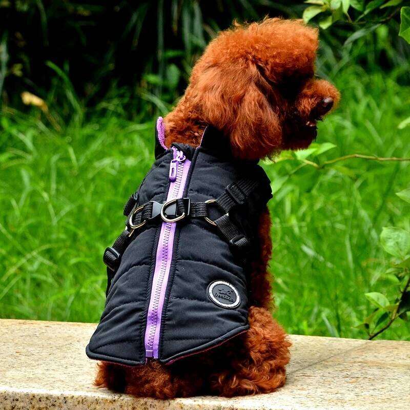 Winter Warmth Vest with Integrated Harness Padded Pet Jacket Zipper Closure Dog Coat Comfortable and Safe for Small Breeds XJ260127