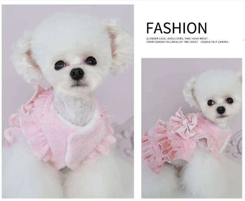 Luxury Coat Autumn Winter Cat Princess Custome Multi-layer Pleated Clothing for Small Dog Pet XJ260127