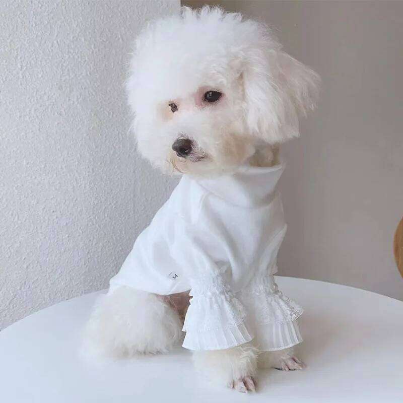 Pure Pet Clothes White Puppy Cat Teddy Spring Autumn New Bottoming Shirt Girl Shirts Dog Cloths XJ260127