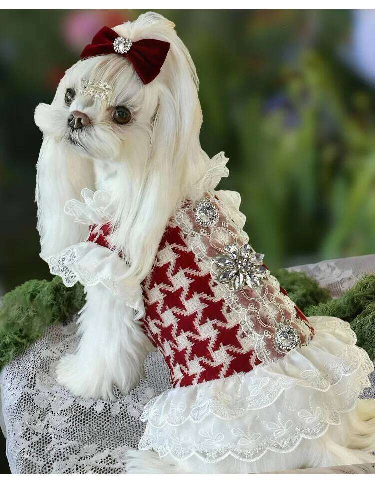 Classic Red Checkered Wool Design Pet - Luxurious Dog Lace Winter Dress