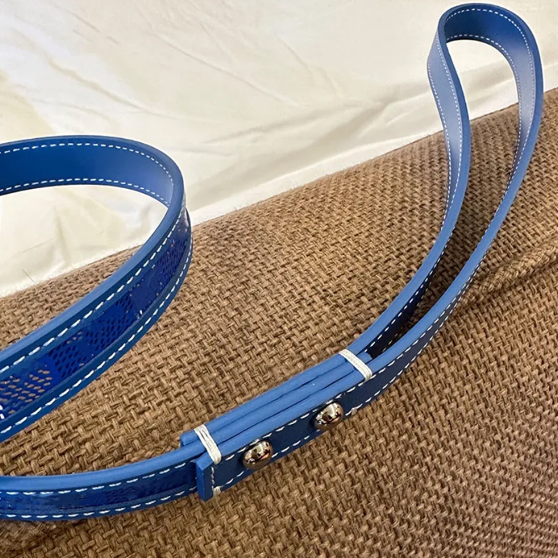 Designer Dog Collar Leash High End Hardware Accessories Adjustable Durable for Small Medium Dogs West Highland Terrier Corgi Pomeranian Luxury Dog Bir