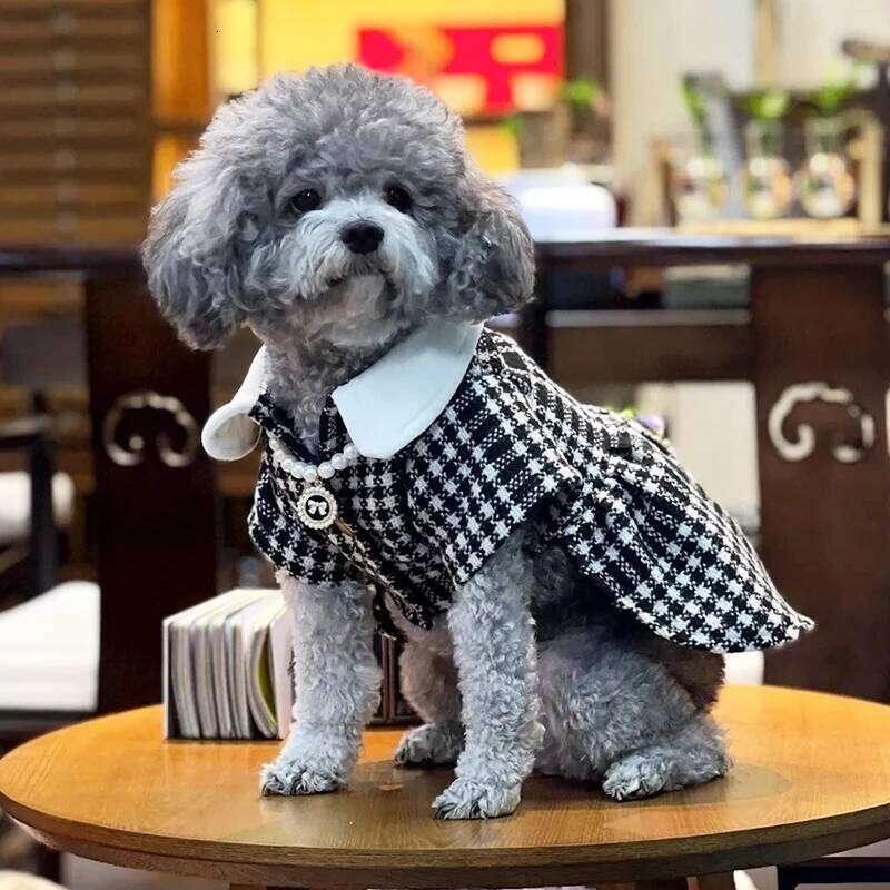 Autumn And Winter Designer Puppy Dress Cat Hair Bow Necklace Warm Pet Clothes Beautiful Skirt Tweed Dog Clothing Dogs Coats