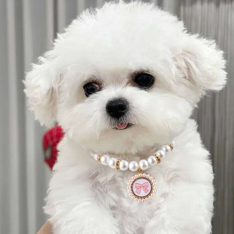 Party Pearl Collar Wedding Handmade Adjustable with Peach Heart Stone Pet Necklace Jewelry & Gift Dog Accessories pet supplies