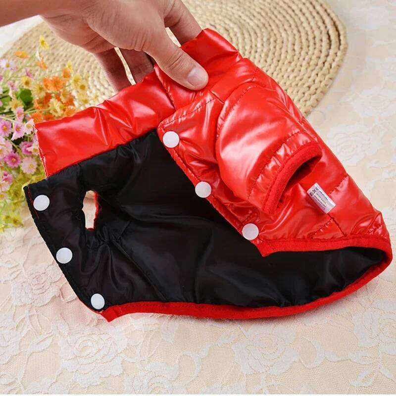 Waterproof Jacket Small Clothes York Coat Little Hoodie for Chihuahua, Pet Products Dog Leash Winter XJ260127