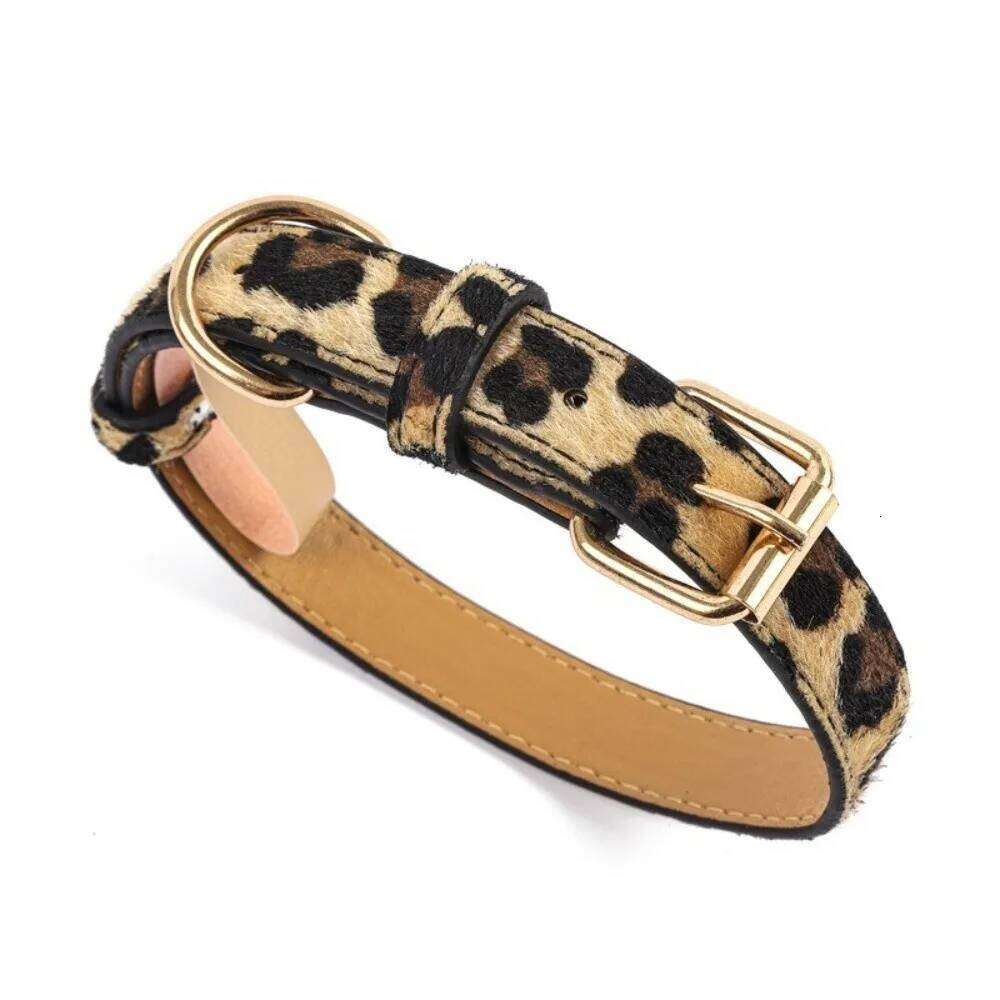 Printed Pet Buckle Bone Collar, Cute Dog Collar, Outdoor Dog Leash, & Dog Necklace, Dog Chain pet supplies Collar, Collar, Leash, Necklace,