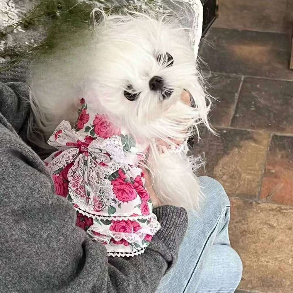 Spring Rose Dress Pet Cat Yorkshire Teddy Romantic Talk Multi Tank Top Dog Clothes for Small Dogs XJ260127