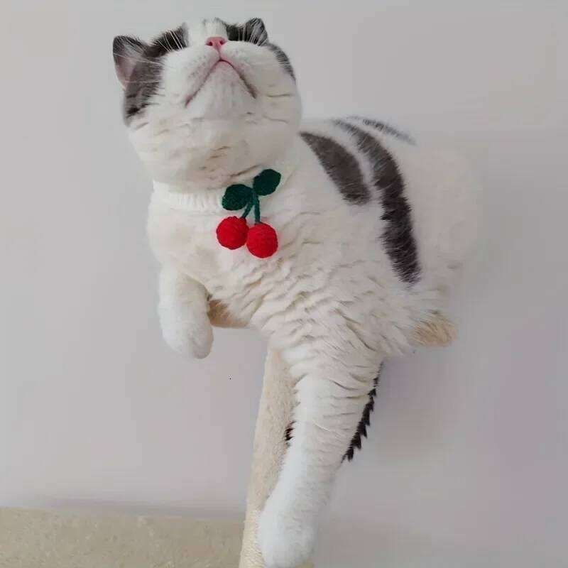 Hand-woven Pet Collars, Adorned With Cherries, Cute Necklaces, Cat Supplies, And Cat Accessories