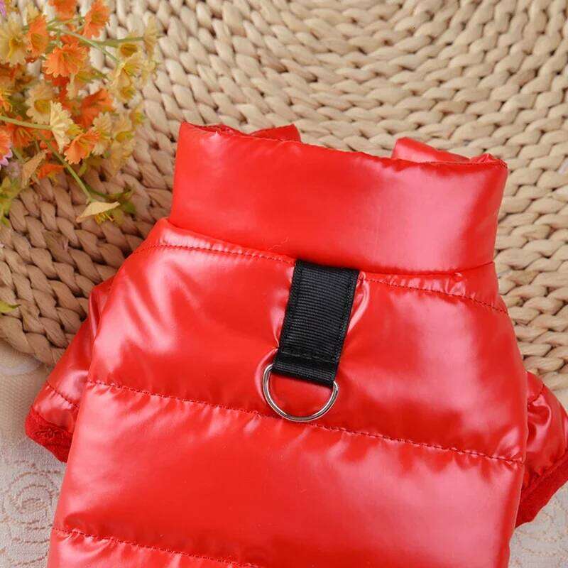 Waterproof Jacket Small Clothes York Coat Little Hoodie for Chihuahua, Pet Products Dog Leash Winter XJ260127