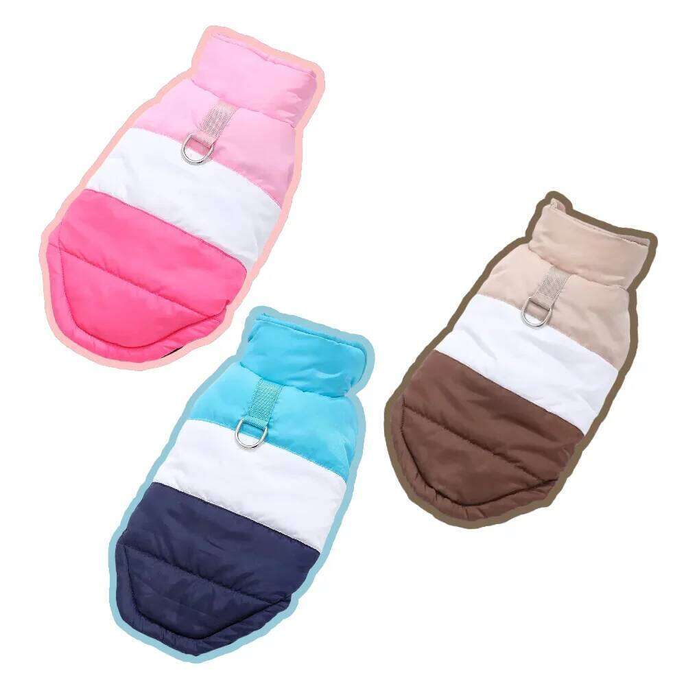 Warm Dog Jacket Button Winter Pet Clothes for Small Medium Dogs Waterproof Puppy Coat With D-Ring Yorkshire Bulldog Apparel XJ260127