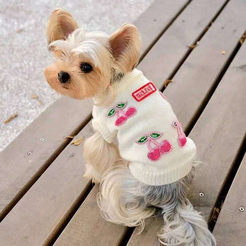Autumn Winter New Pet Sweater Princess Style Cherry Patternor Small Maltese, Bichon Teddy Warm Soft Knitwear For Dogs