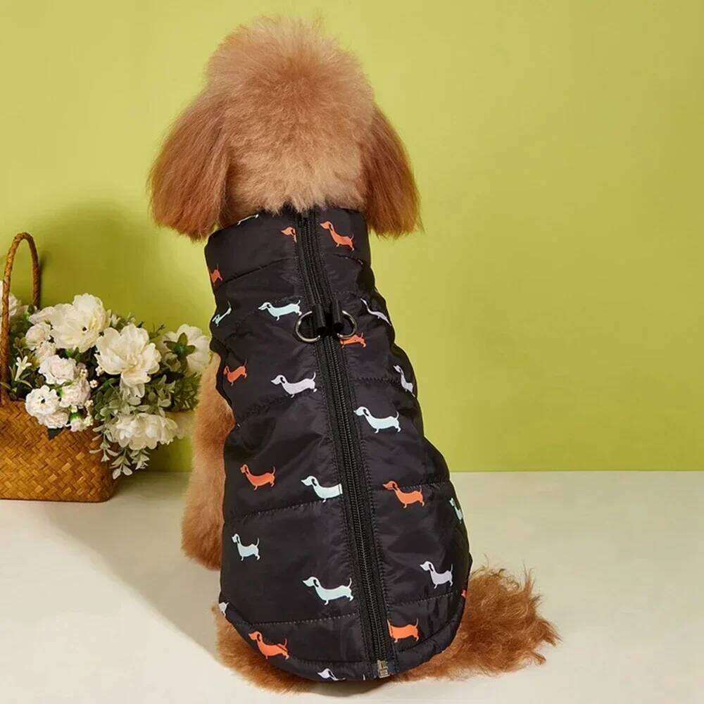Warm Winter For Small Dogs Windproof Pet Dog Coat Jacket Zipper Puppy Outfit Vest Yorkie Chihuahua Clothes XJ260127