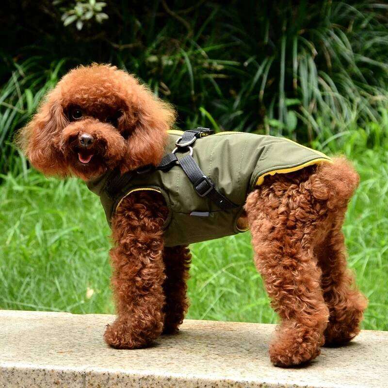 Winter Warmth Vest with Integrated Harness Padded Pet Jacket Zipper Closure Dog Coat Comfortable and Safe for Small Breeds XJ260127