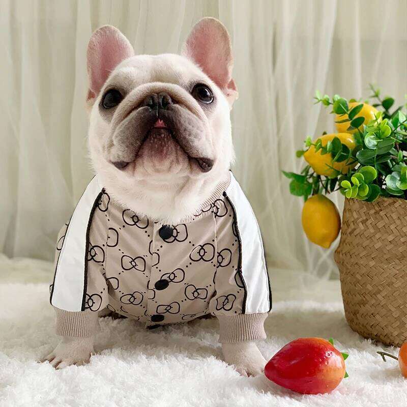 Winter Pet Clothing Fat Dogs Jackets Designer Luxurious Fashion Comfortable Warm Jacket Puppy Clothes Bulldog Bago Dog Costume