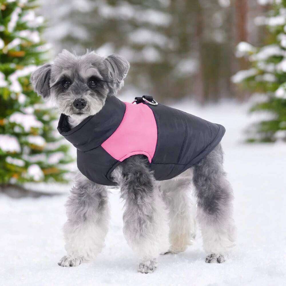 Waterproof Pet Jacket Winter Warm Dog Clothes For Small Large Dogs Cats Vest Puppy Coat Chihuahua Labrodor Costumes Overalls XJ260127