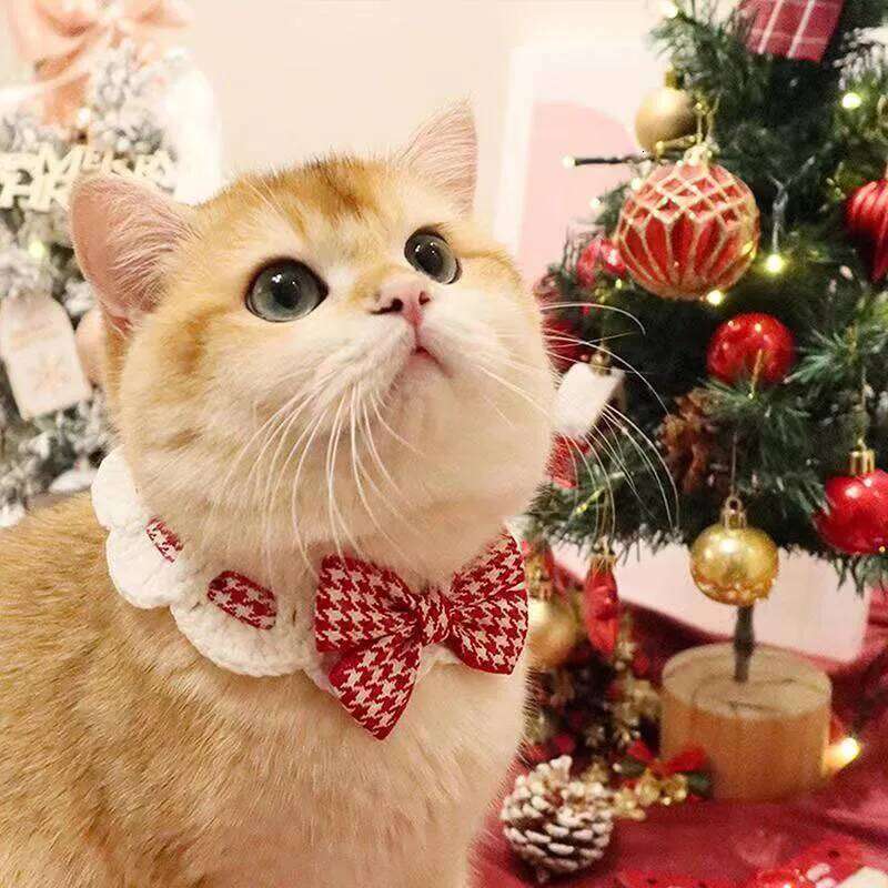 Crocheted Cute Cat Wool Bowtie Collar Bow Pet Bib for & Cats Kitten and Small Dogs Puppies Tie Accessories pet supplies