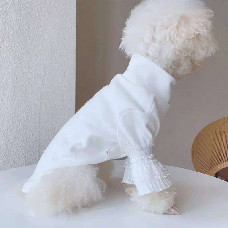 Pure Pet Clothes White Puppy Cat Teddy Spring Autumn New Bottoming Shirt Girl Shirts Dog Cloths XJ260127