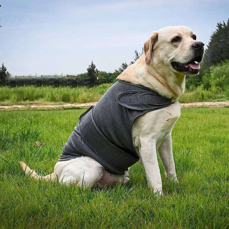 Breathable Stress Relieving Dog Lightning Protection Jacket for Anti Anxiety Vest Keeps Pets Calm XJ260127