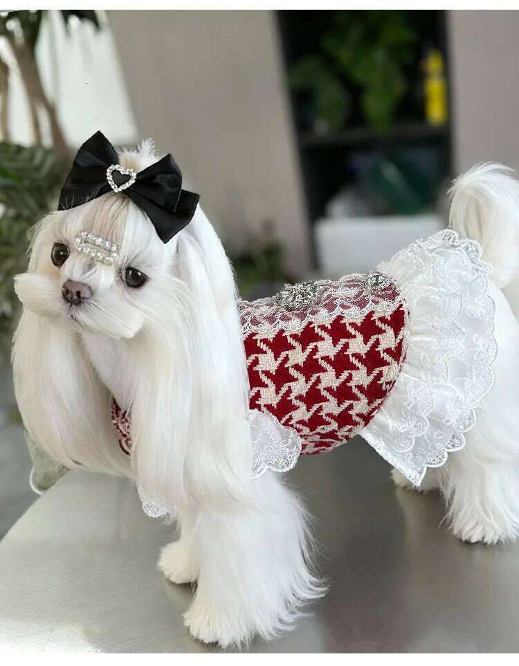 Classic Red Checkered Wool Design Pet - Luxurious Dog Lace Winter Dress