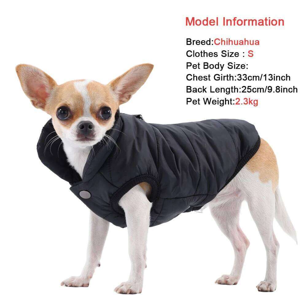 Winter Pet Dog Clothes For Small Medium Dogs Puppy Cat Coat Warm Fleece Vest Windproof Chihuahua Yorkie Padded Jacket Costume XJ260127
