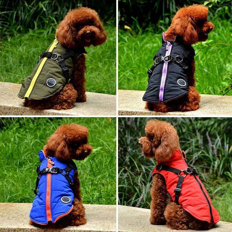 Jacket With Harness Winter Warm Clothes Waterproof Small Dog Coat Puppy Pet Clothing Chihuahua French Bulldog Outfit XJ260127