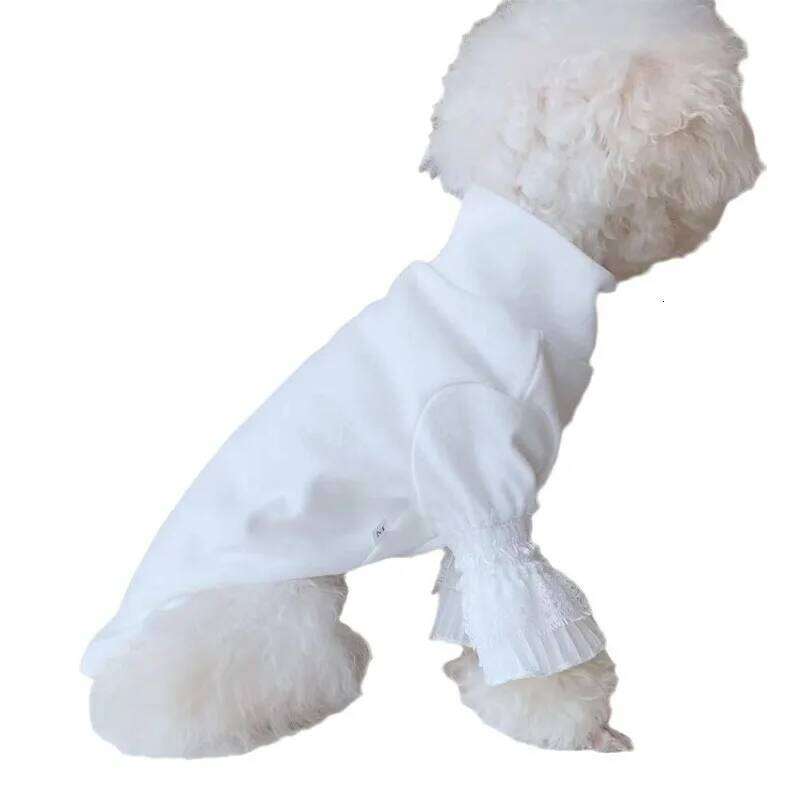 Pure Pet Clothes White Puppy Cat Teddy Spring Autumn New Bottoming Shirt Girl Shirts Dog Cloths XJ260127
