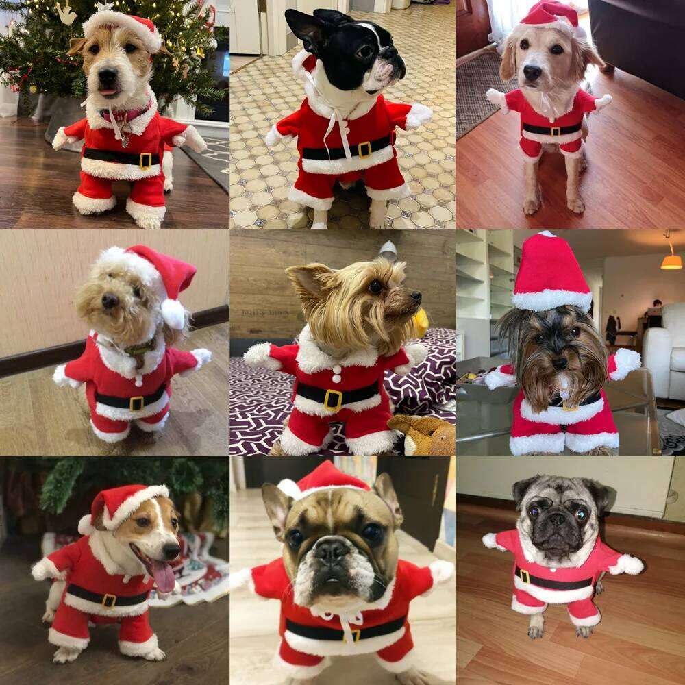 Pet Dog Cosplay Costume For Small Medium Dogs Christmas Santa Claus Puppy Outfits Cute Cat Clothing Chihuahua Bulldog Jacket XJ260127