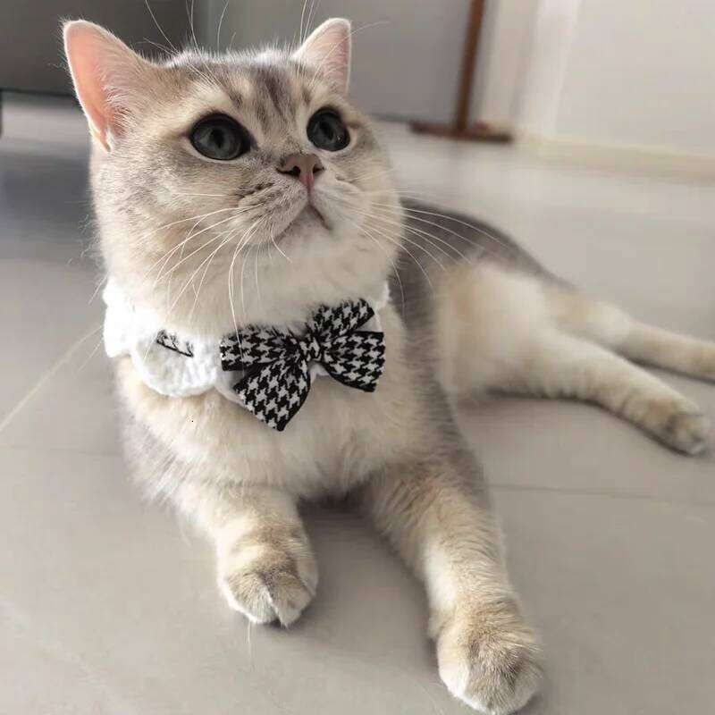 Crocheted Cute Cat Wool Bowtie Collar Bow Pet Bib for & Cats Kitten and Small Dogs Puppies Tie Accessories pet supplies