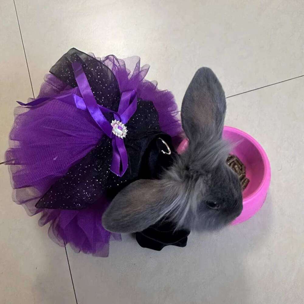 Halloween Pet Clothes Dog Cat Autumn Black Purple Velvet Traction Button Dress XJ260127