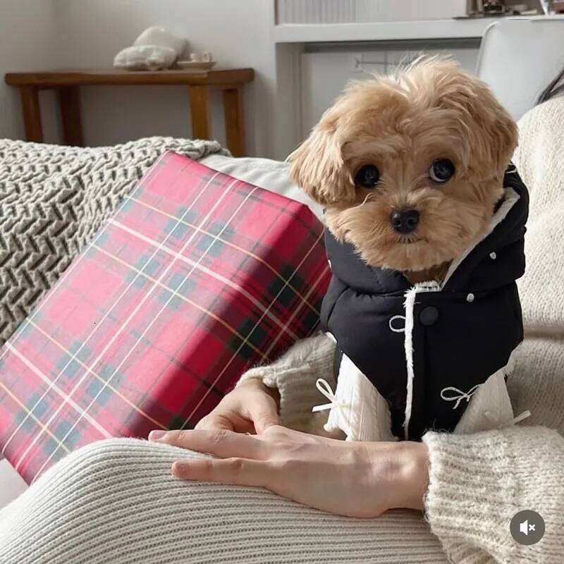 Fashion Bow-Embroidered Dog Teddy Bear Stylish Down Jacket Bichon Frise Winter Warmth Hooded Coat Thickened Pet Accessories XJ260127