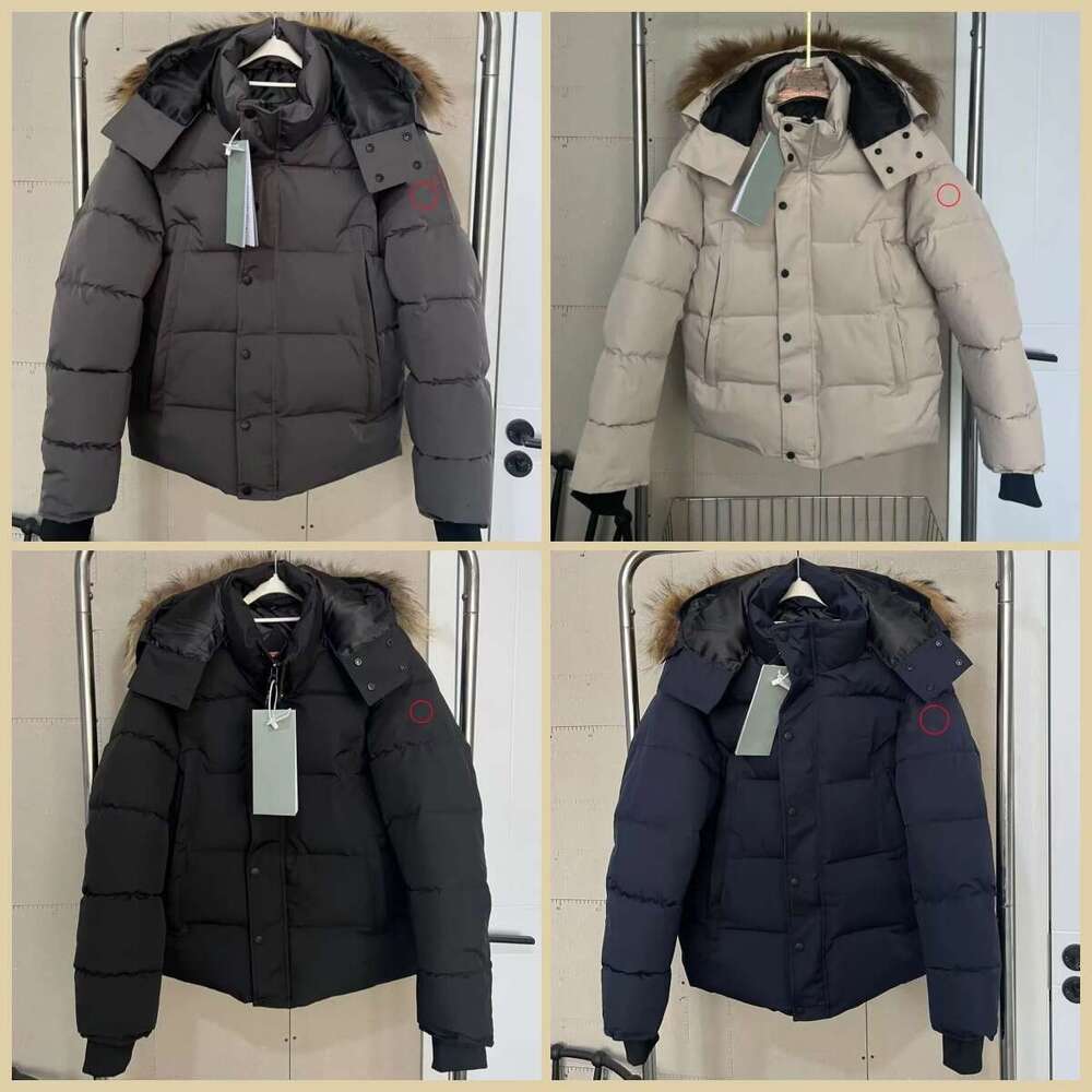 Mens Designer Puffe… - image