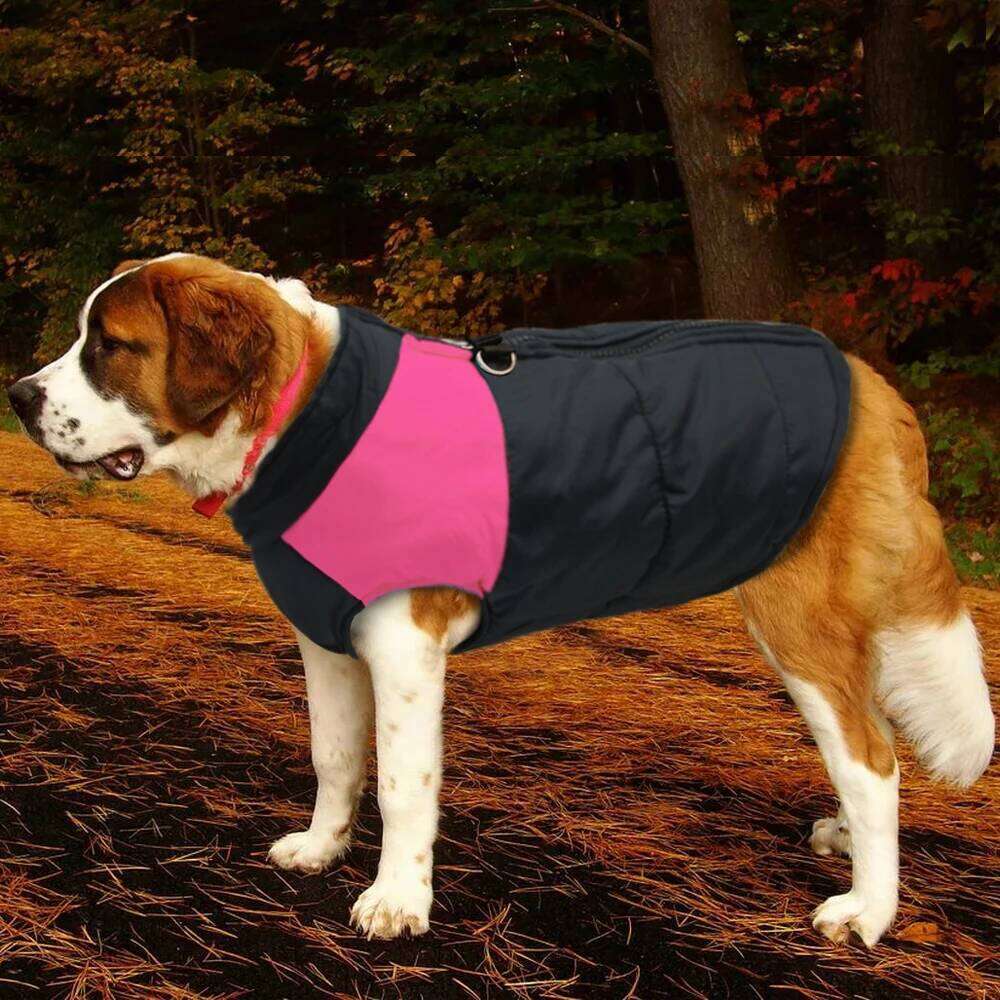 Large For French Bulldog Winter Pet Clothes Coat Ropa Perro Golden Retriever Labrador Dog Clothing Jacket 2XL-7XL XJ260127
