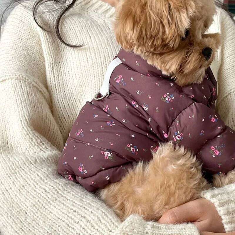 Cute Teddy Floral Down Jacket Pet Thickened Cotton Bichon Frise Winter Two-Legged Clothes Warm Puppy Coat XJ260127